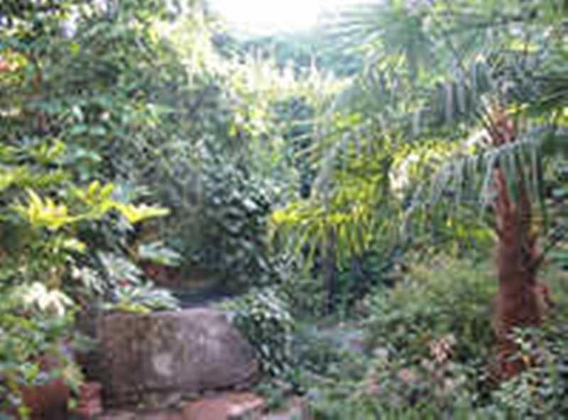 אסבו Casa Rural Corvina מראה חיצוני תמונה